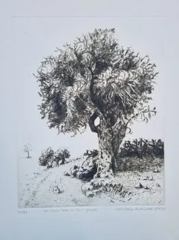 Walid Abu Shakra, Olive Tree at Ein Jarrar, 1980, drypoint engraving